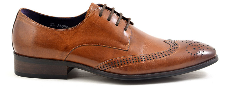 Gucinari Mens Tan Derby Brogue Shoe